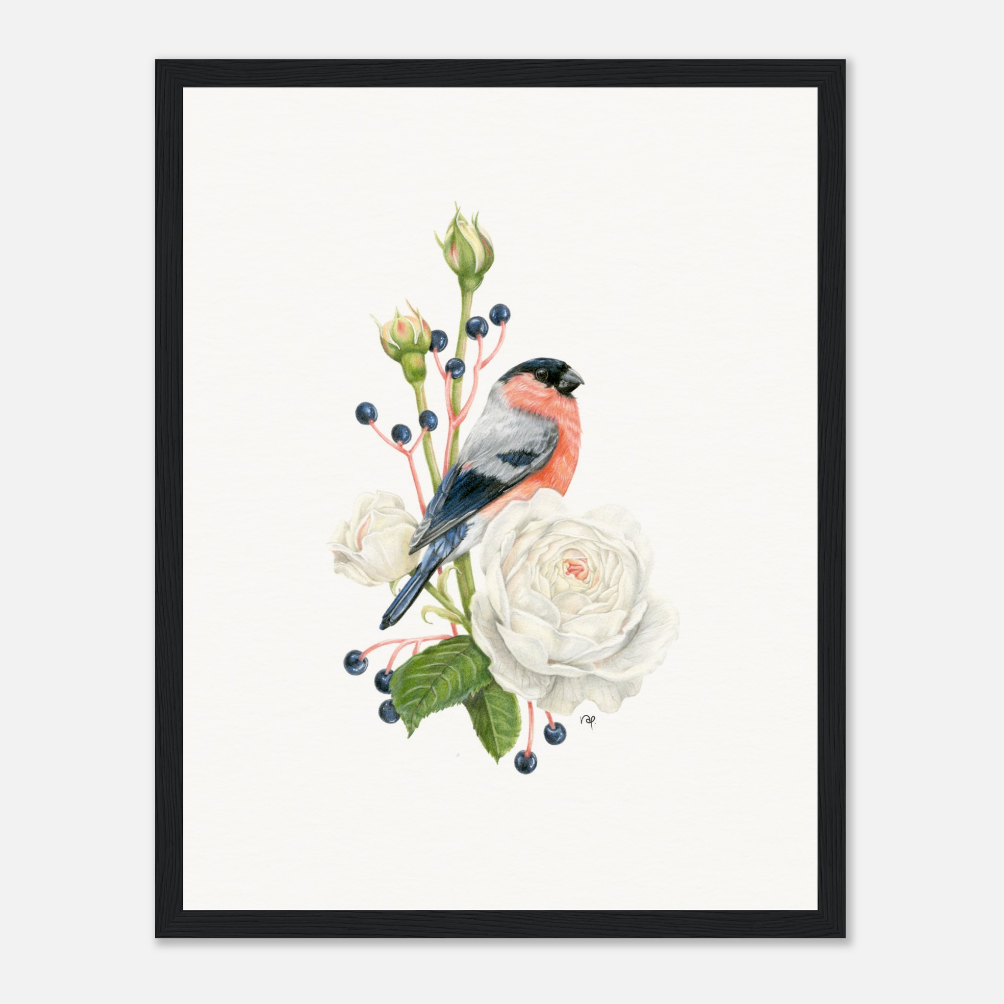 Illustration of a colorful bird perched on white roses and berries, framed art print.