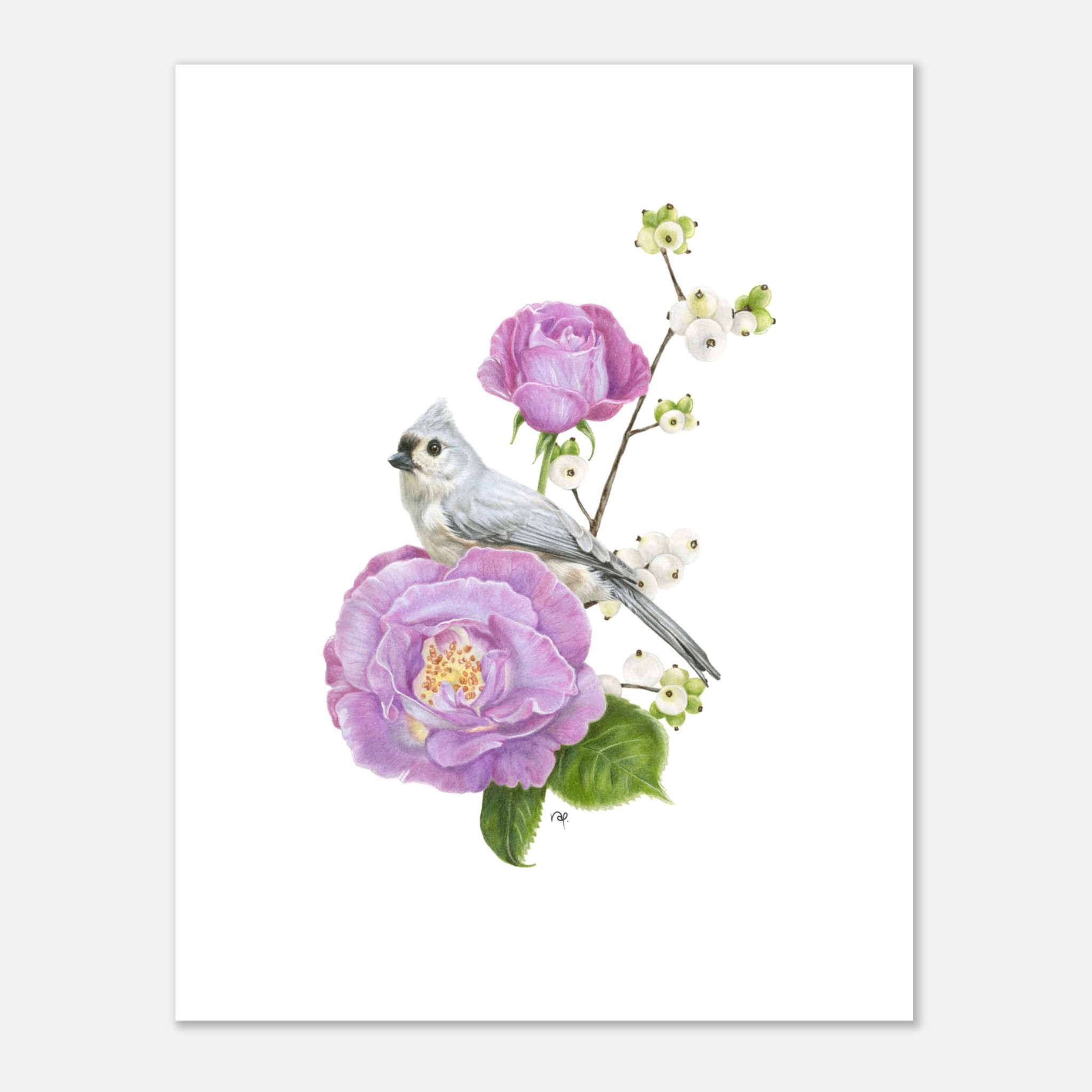 Illustration of a tufted bird perched on pink roses with white berries, set on a white background.