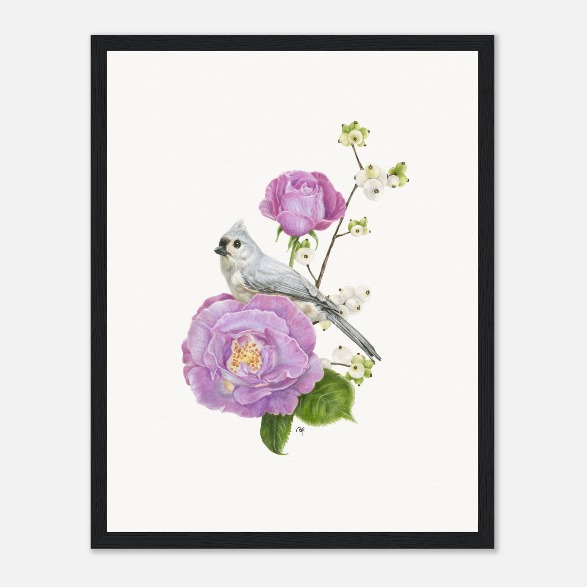 Illustration of a small bird on purple roses and green foliage against a white background, framed in black.